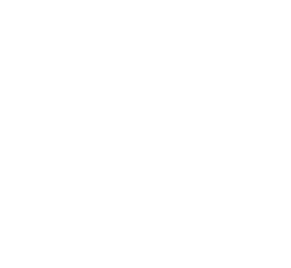 Fanta20 Logo